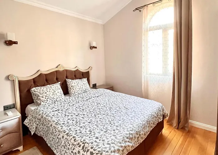 стефани 普罗夫迪夫