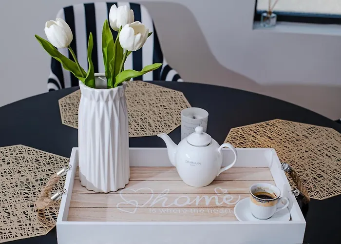 стефани 普罗夫迪夫