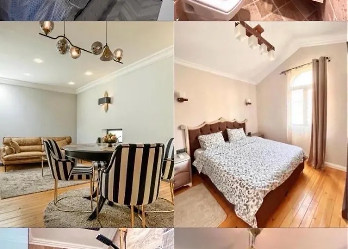 стефани 普罗夫迪夫